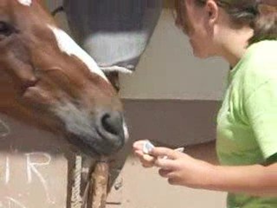 Juan qui mange une compote
