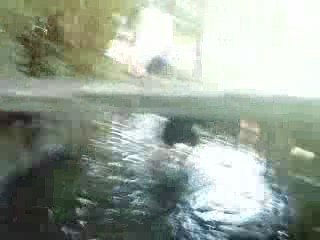 Périple dans la rivière kwai-kwai