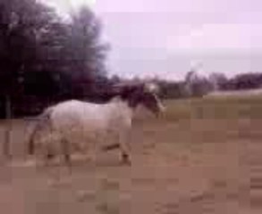 toupie_20_