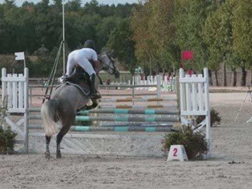 Sologn pony 2009