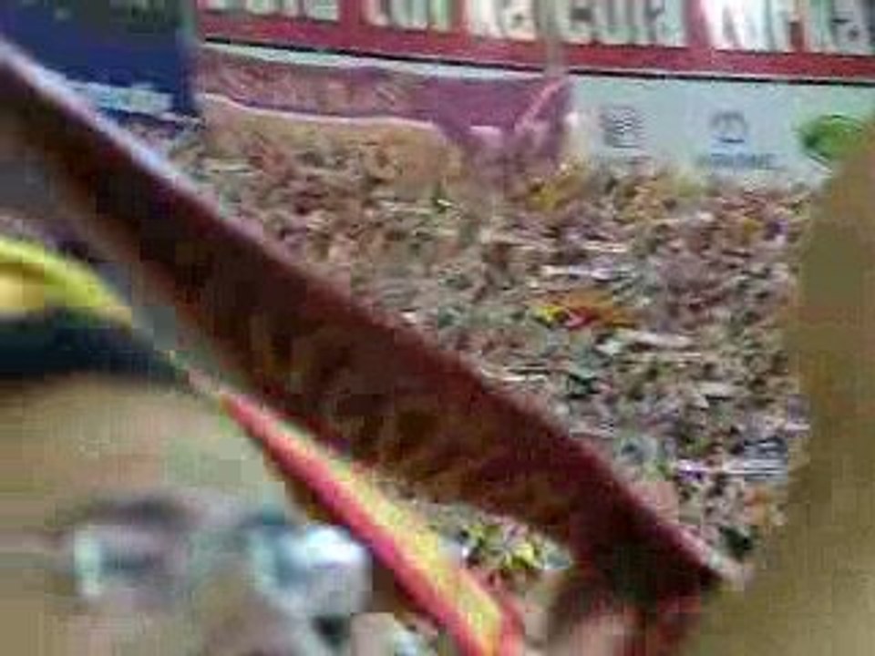 Milan Baros Penalty Galatasaray - Tallin