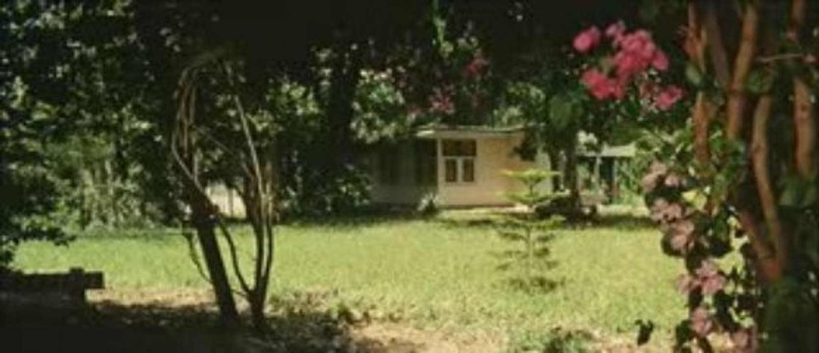 Bruce Lee - Big Boss "Extreme Free Fight" (HD)