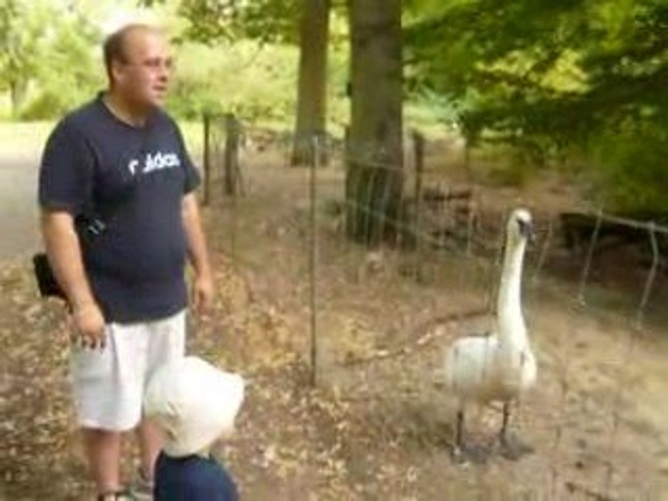 ACCEUIL AU ZOO D'ATTILLY