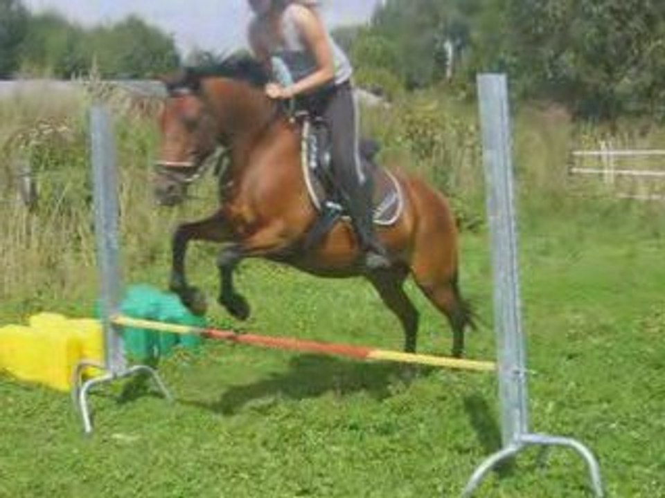 Godzilla ze t'aime BPQT