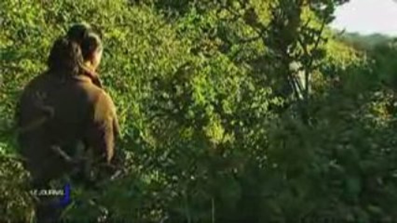 Trop de sangliers à Talmont-Saint-Hilaire !