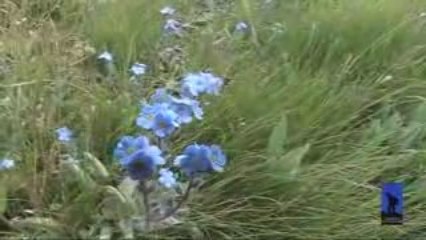 ANADOLU COĞRAFYASI “Buyer Gölü” 1