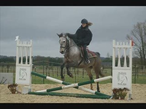 Concours du 23 novembre 2oo8