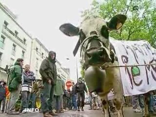 European Milk Board : Grève générale du Lait ?