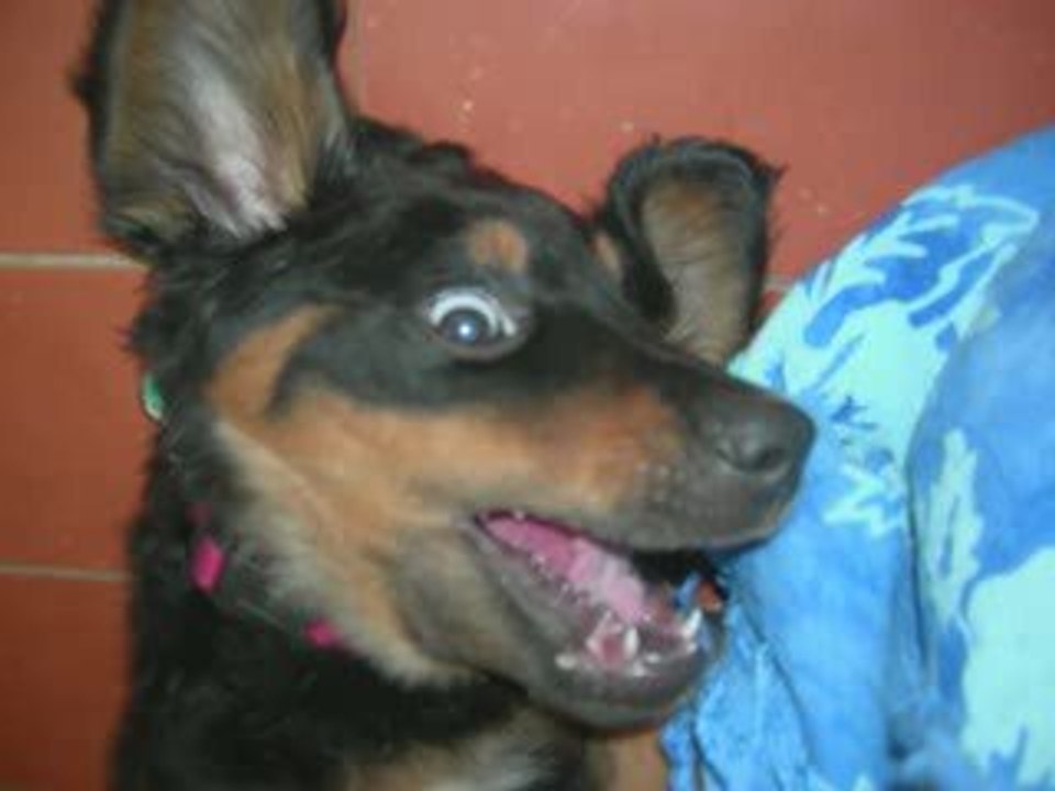 2° jours d'Euskadia