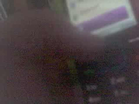 Webcam 1251289805968