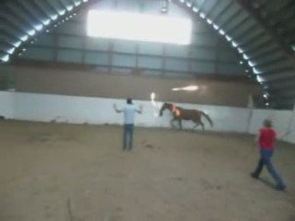 peyot l'epouvantail a poney