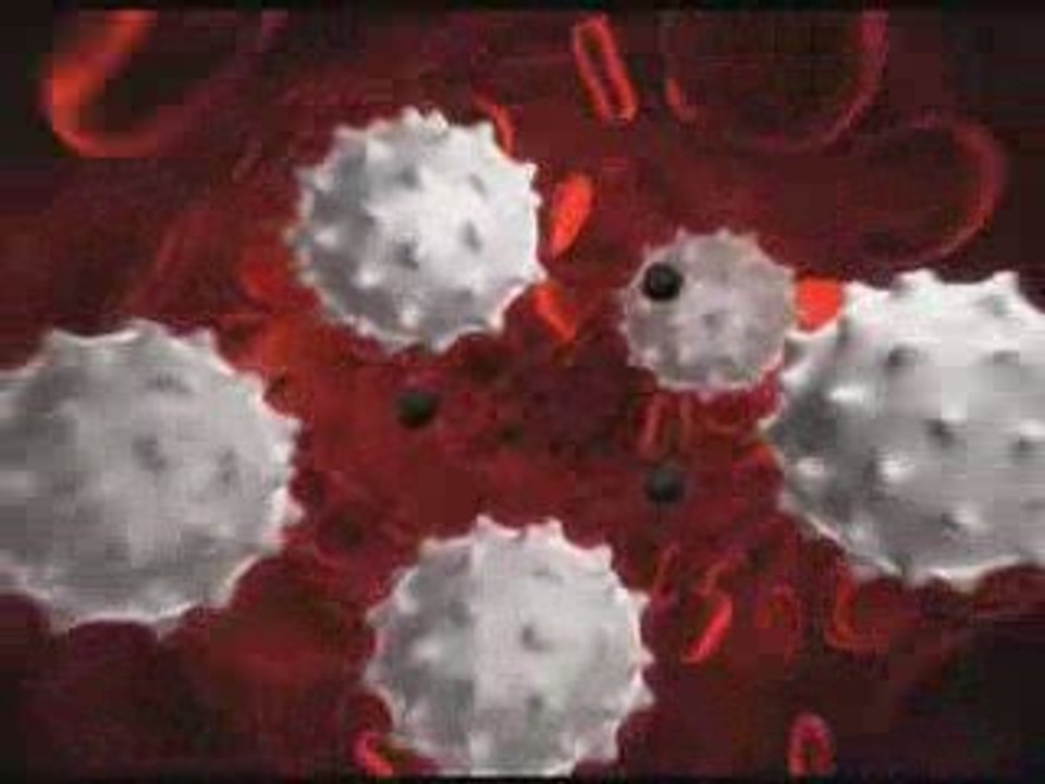 Czym są fitoskładniki i jaki jest ich wpływ na zdrowie?