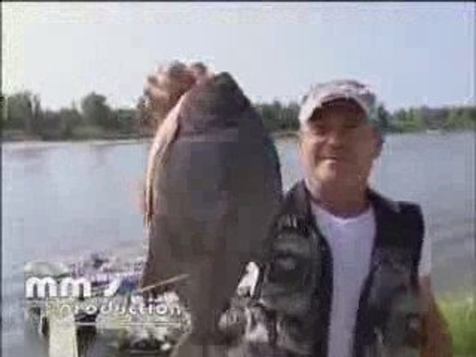 Piranha nel Po
