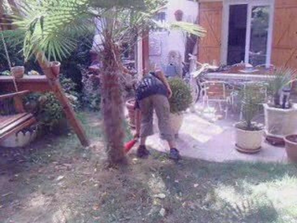 videos sans trucage 02