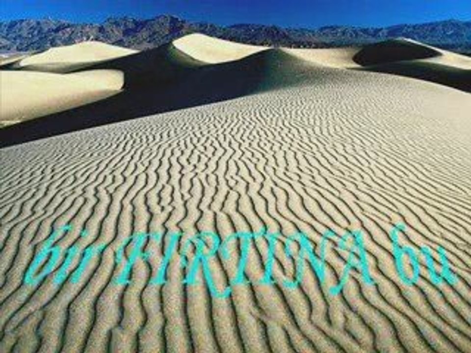 TALİP ŞAHİN BİR FIRTINA