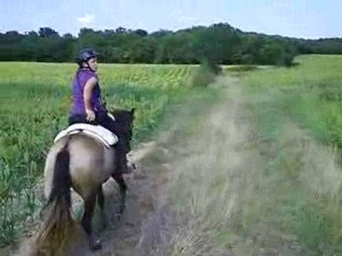 Bahia, 4e séance du débourrage...