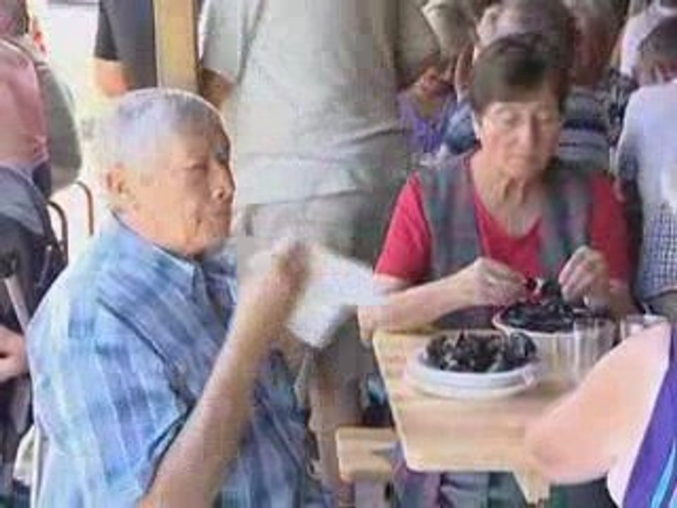 Voyage au camping : Ardres