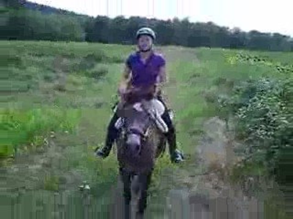 Bahia, 4e séance du débourrage...