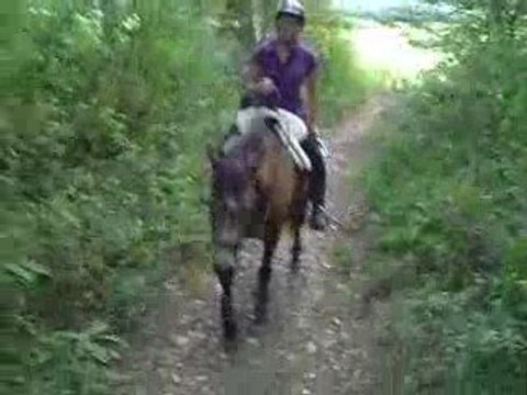 Bahia, 4e séance du débourrage...