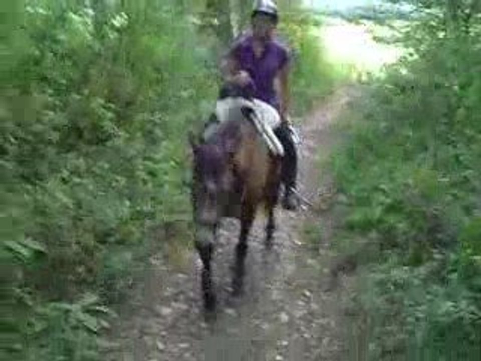 Bahia, 4e séance du débourrage...