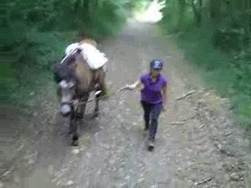 Bahia, 4e séance du débourrage...