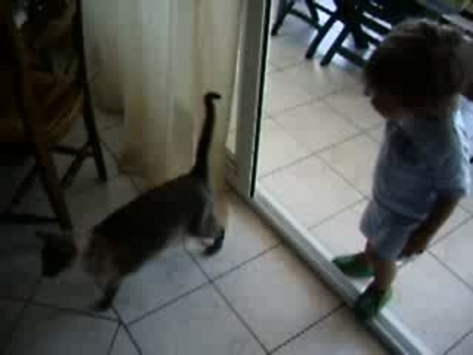 24 juillet 08 socrate