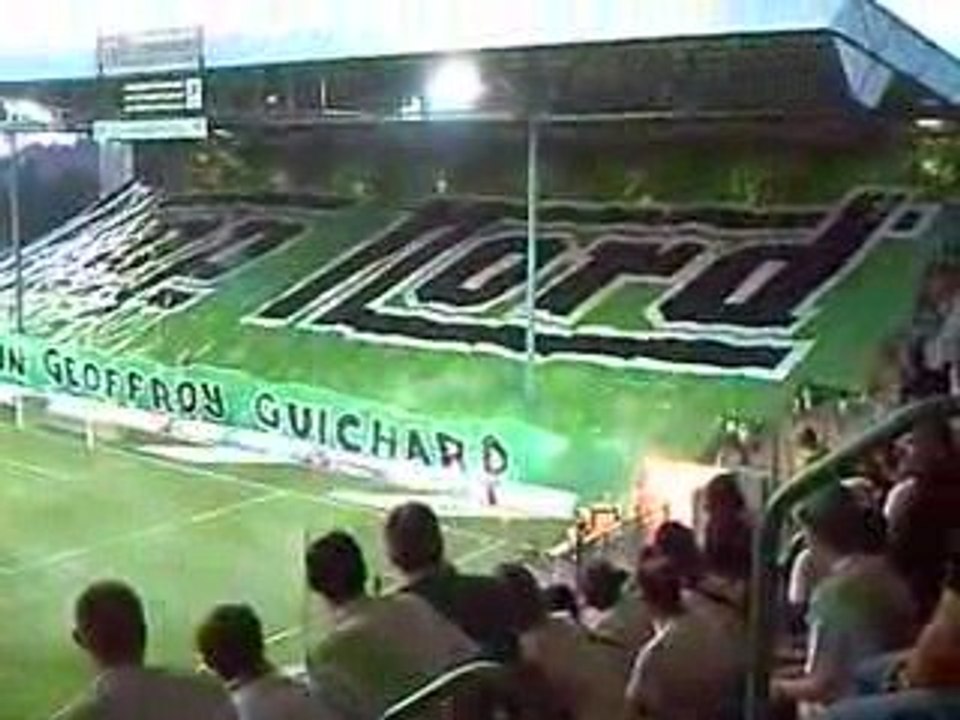 Allez les verts !