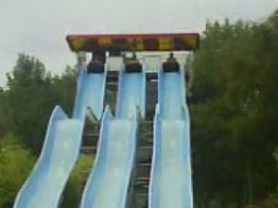 MOV01347