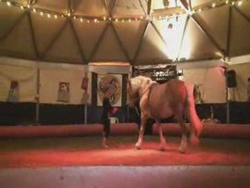 Acrobatie : Les Reines du cirque (Acro-Caval)