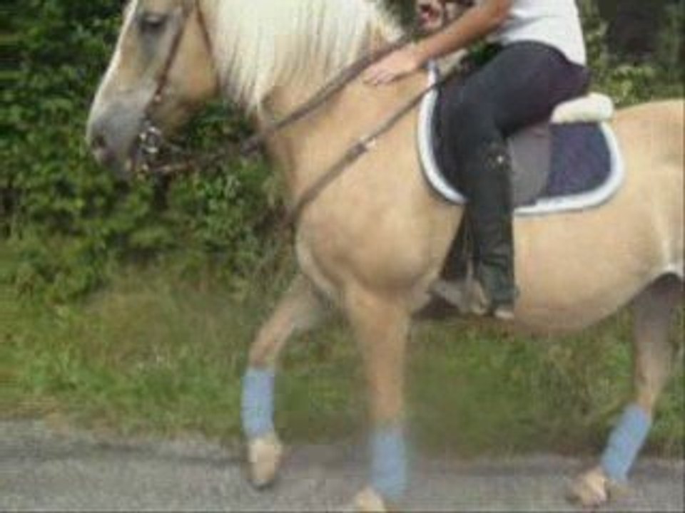 Le retour de La Team Chipo'