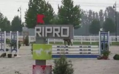 Carlos Boy WZ, Stilspringen (4-5 jährige) E