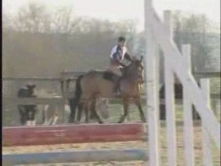 Derrière le cheval.(d'Orgeix)