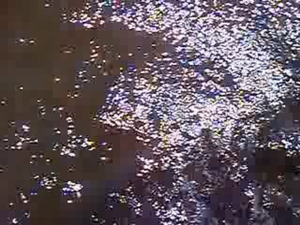 Brochet de l'Ille