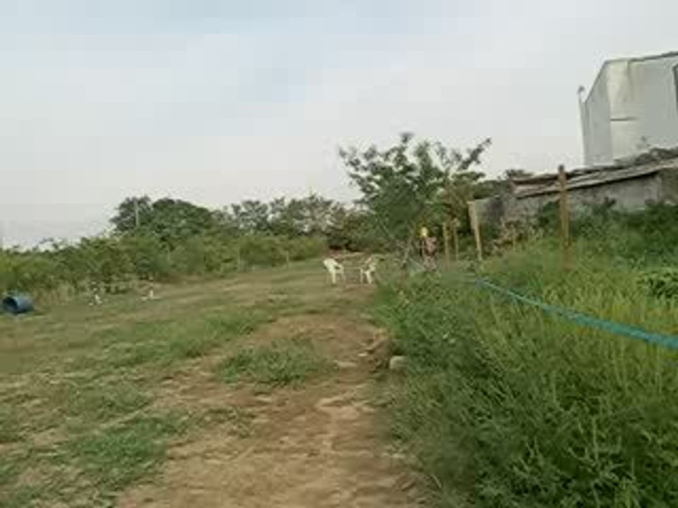 25_08_09 012