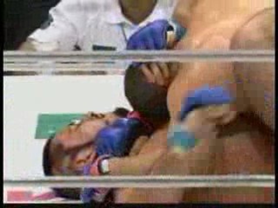 Fedor Emelianenko vs Heath Herring