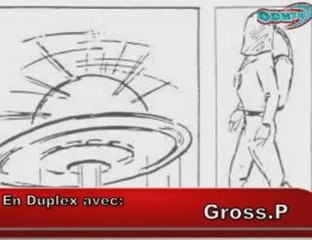 A.L: Gross.P (part.2)