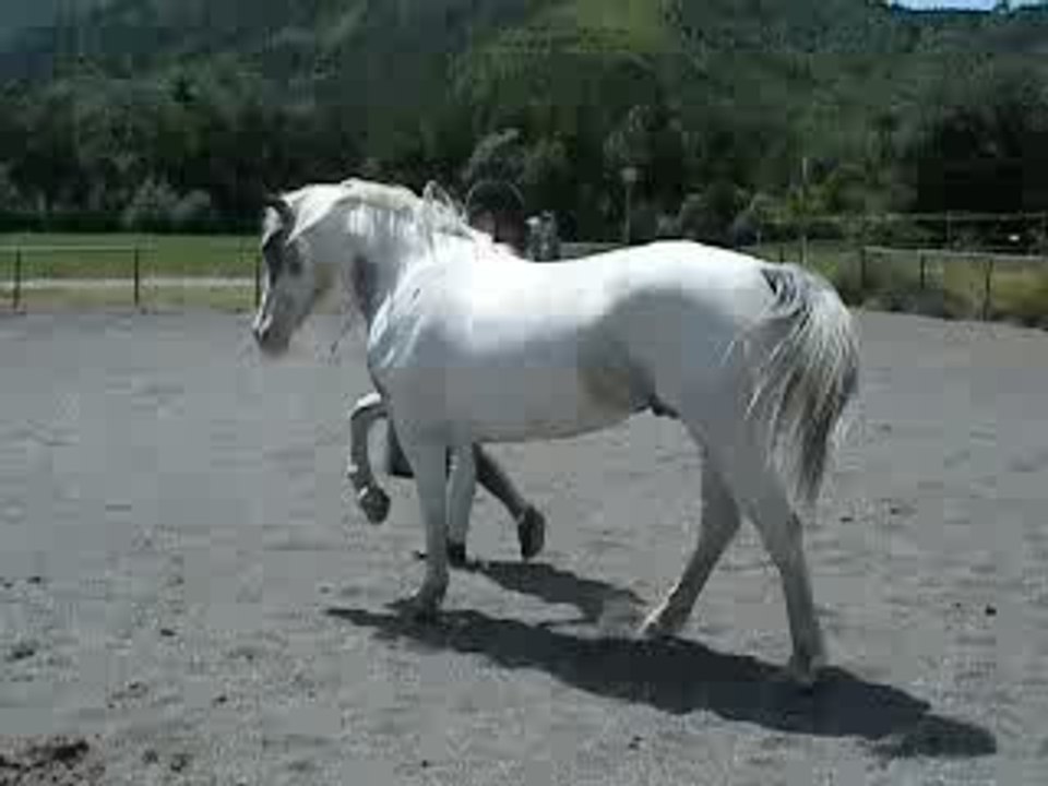 Hidalgo au pas espagnol