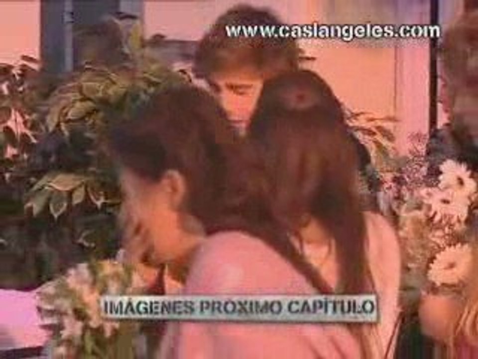 Promo Cap 84