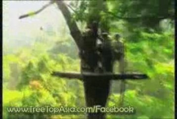 Bangkok Holidays Tour