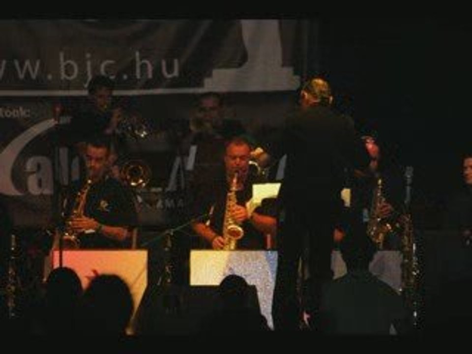 sziget festival 2009  les artistes