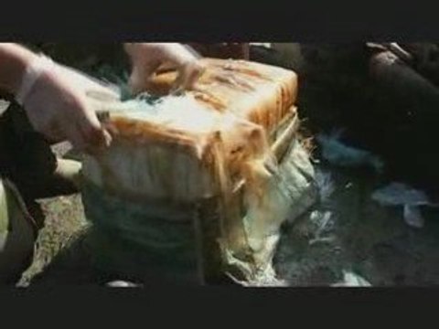 narcotrafic . comme une trainee de poudre 3.3