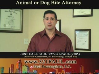 Injury Clearwater Florida