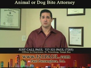 Personal Injury Clearwater FL