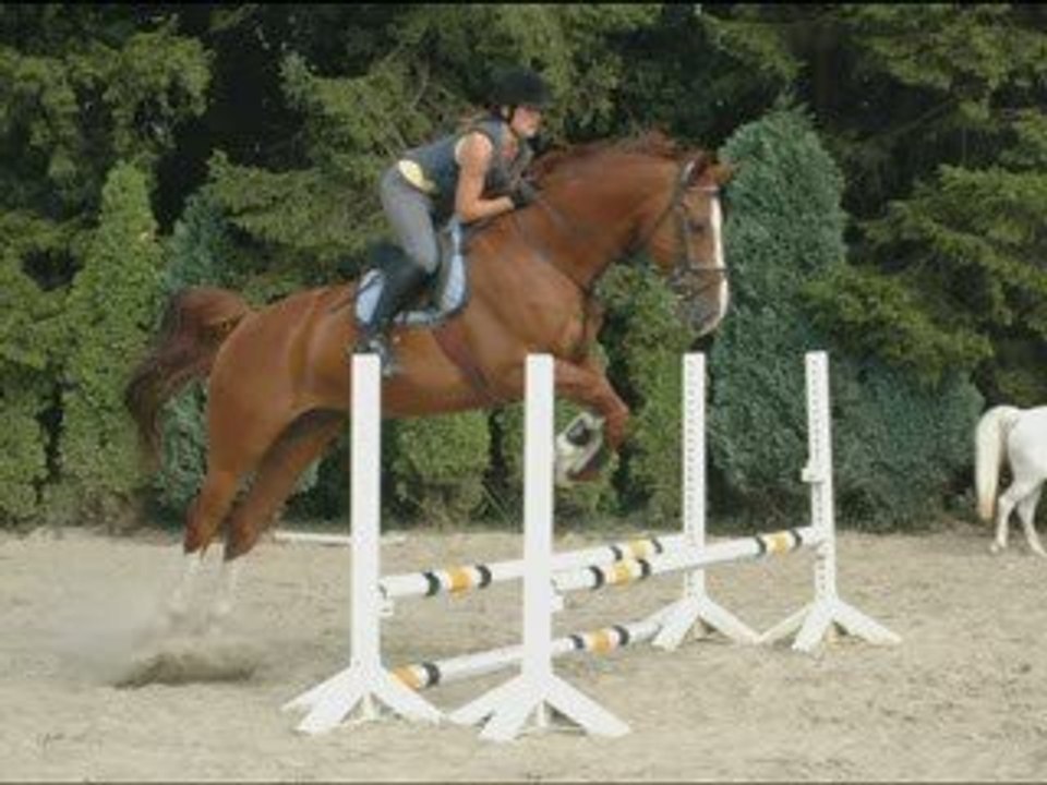 Artus