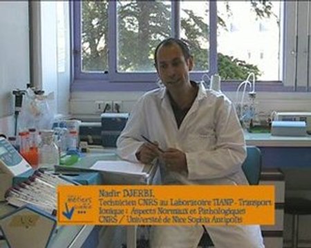 Métiers de la science au CNRS et dans ses UMR - N. Djerbi