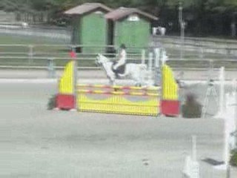 sologn' pony 2009 hofanny