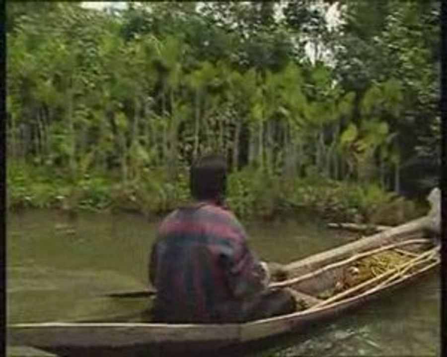 Un delta de pétrole