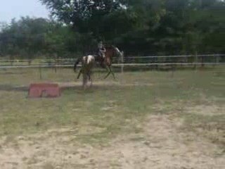 Margaux et Eclos en saut