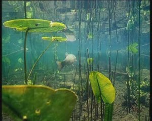 La route de l'eau - Les empreintes du temps