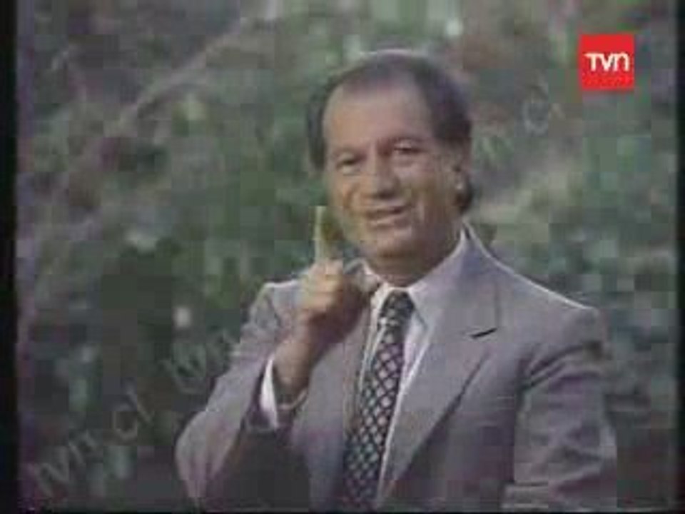 Franja Politica del NO